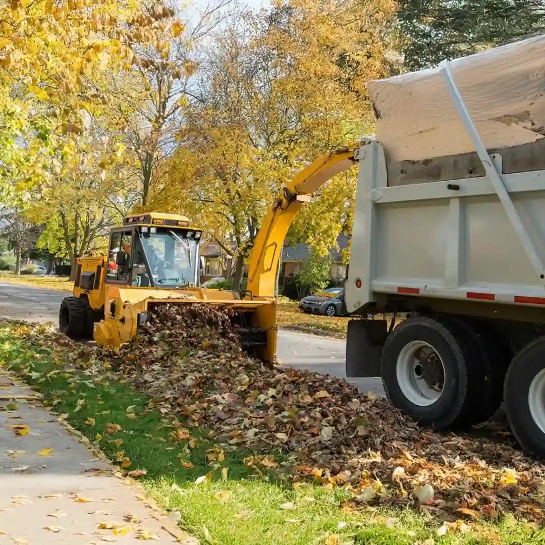 Trackless MT7 municipal tractor equipped with a front-mounted leaf loader for collecting and loading leaves into a dump truck during seasonal street cleanup.