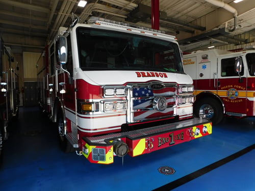 Branson FD