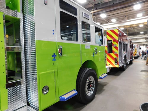 Palmyra FPD