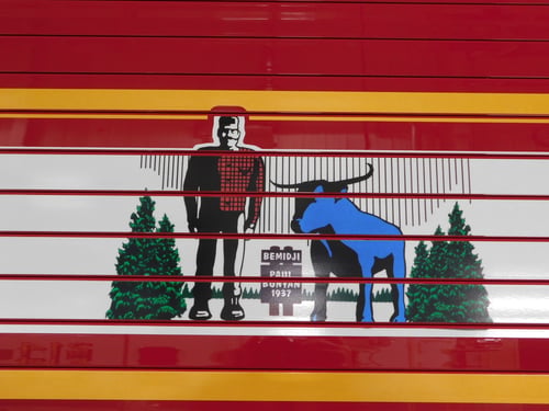 Bemidji FD