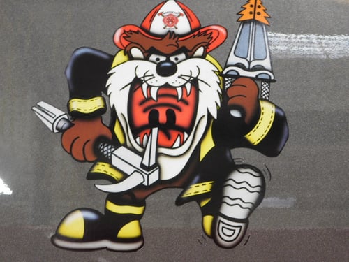 NE Ambulance & Fire Protection District