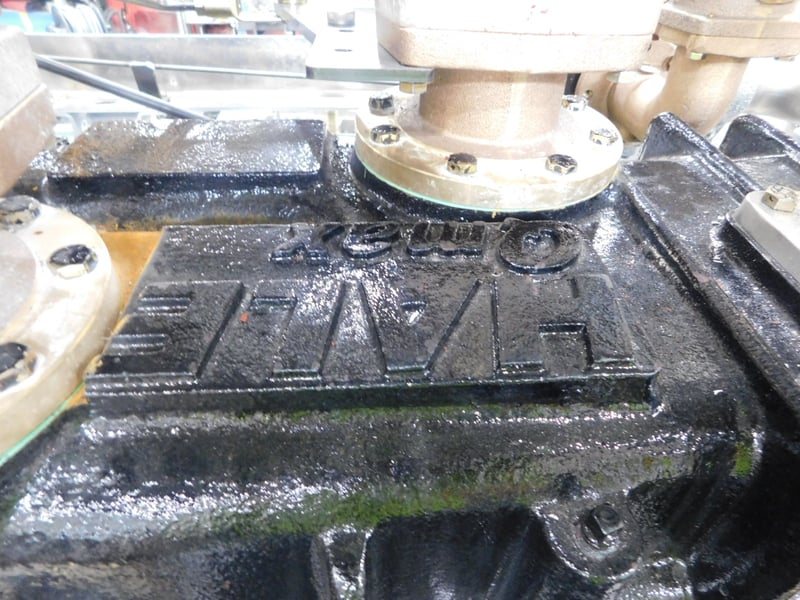 DSCN5691 JPG