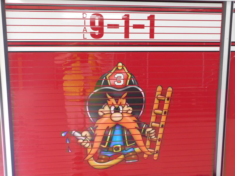 DSCN8141 JPG 2