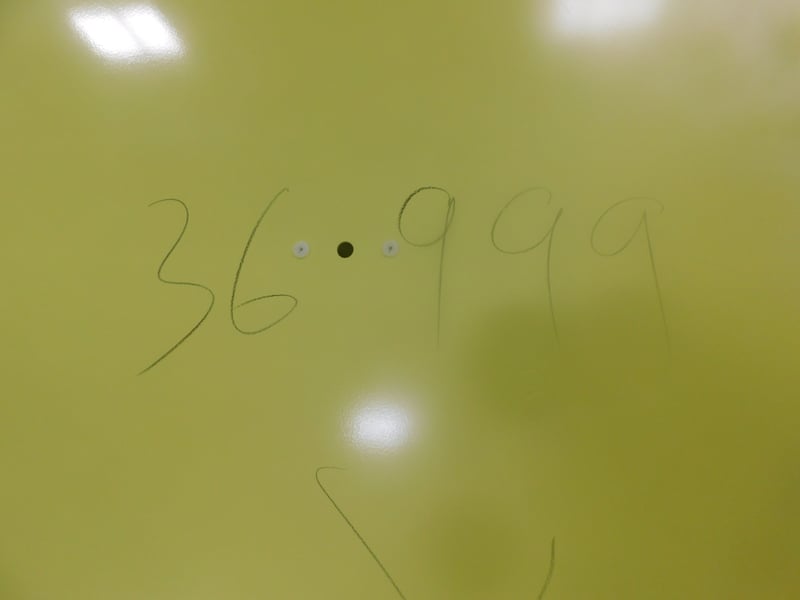 DSCN9900 JPG
