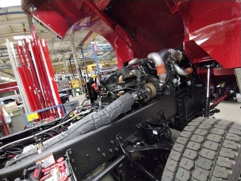 MacQueen A 195 jpg