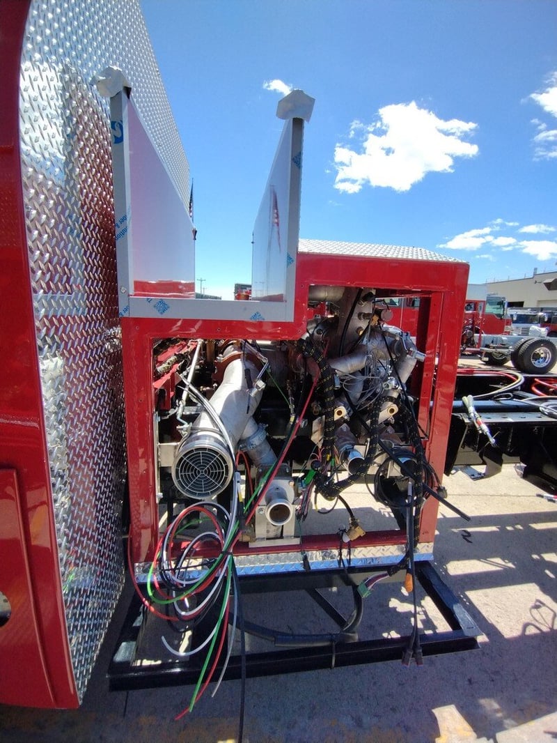 MacQueen A 309 JPG