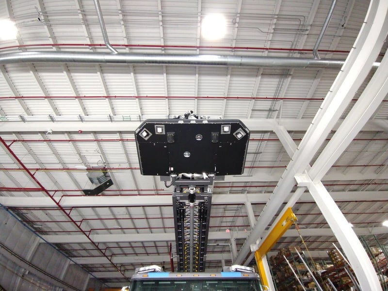 MacQueen A 339 jpg