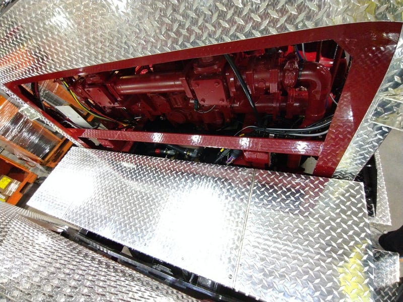 MacQueen A 475 jpg