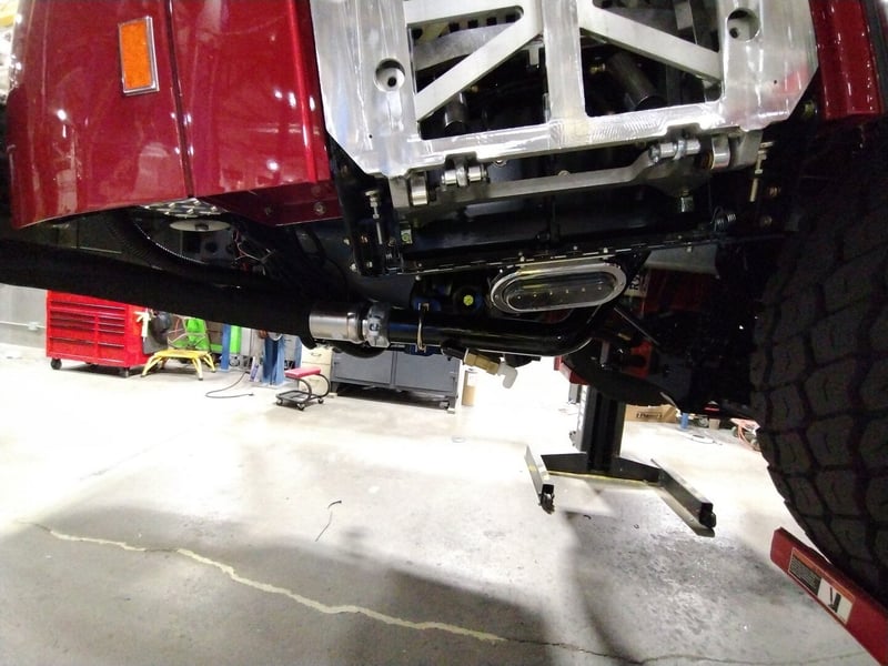 MacQueen A 511 jpg