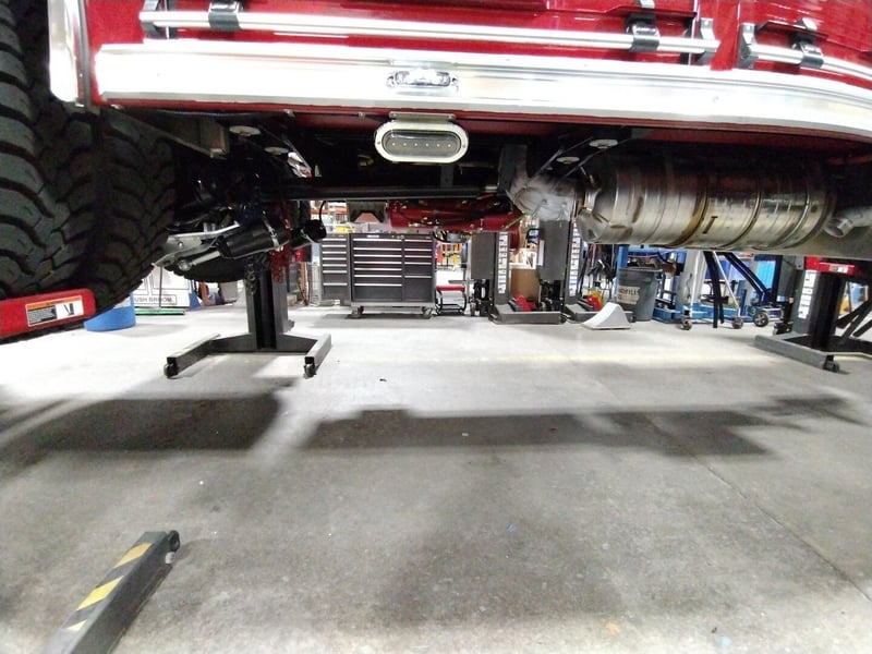 MacQueen A 527 jpg