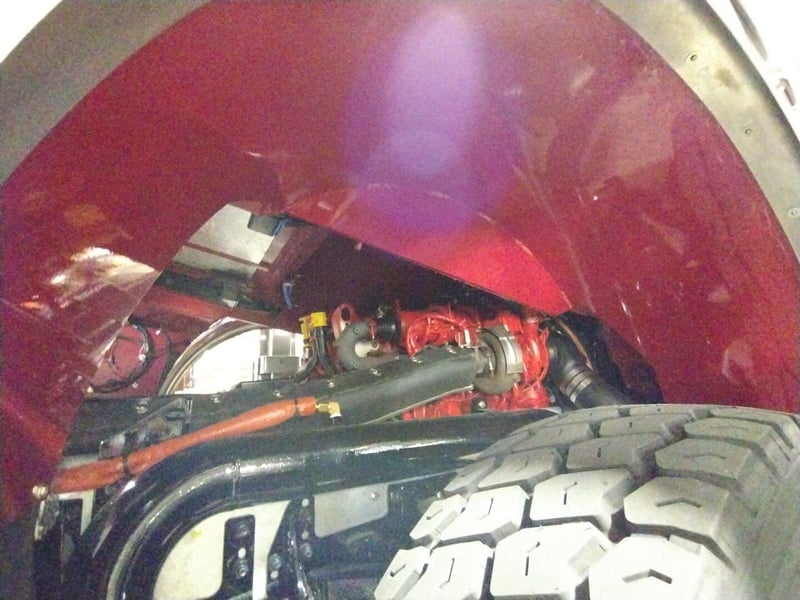 MacQueen A 534 jpg
