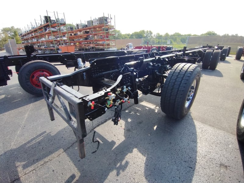 MacQueen B 42 jpg