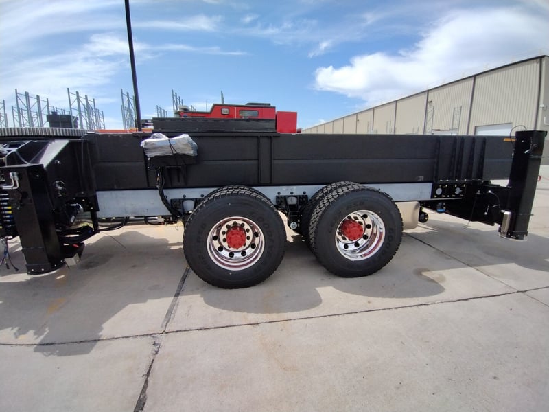 MacQueen A 169 jpg 3