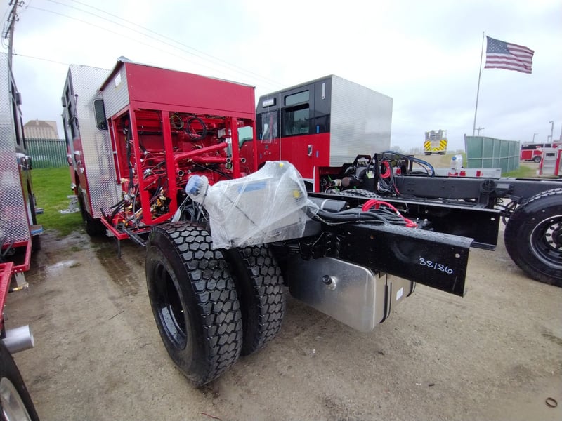 MacQueen A 174 jpg 2