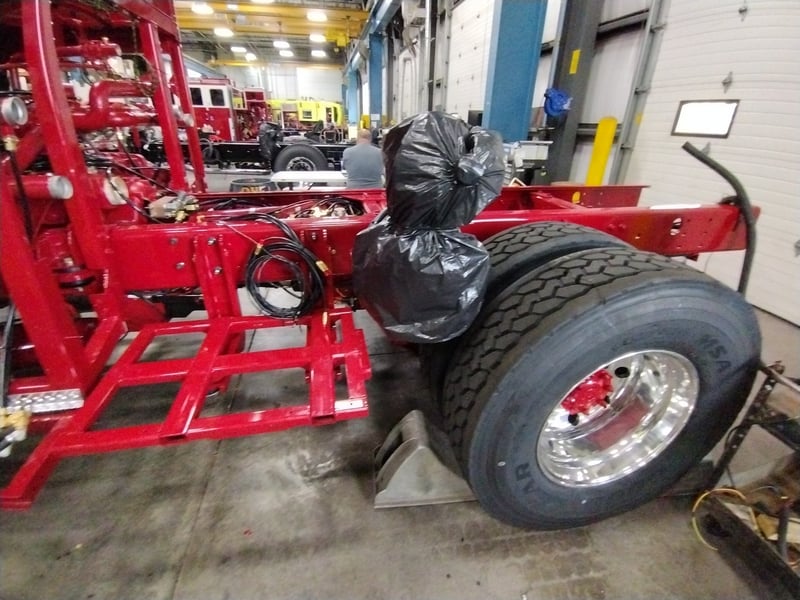 MacQueen A 242 jpg