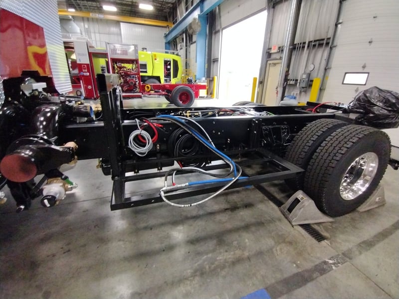 MacQueen A 273 jpg
