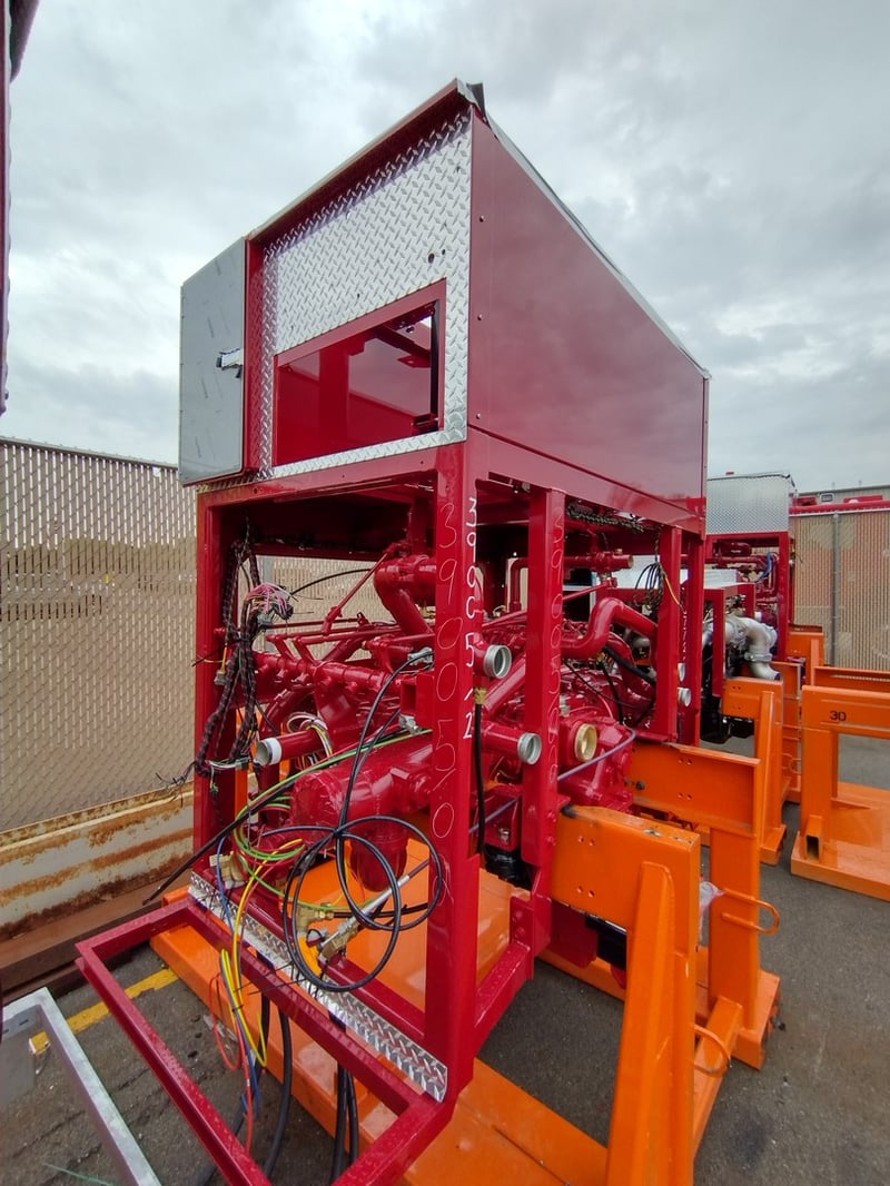MacQueen A 291 jpg