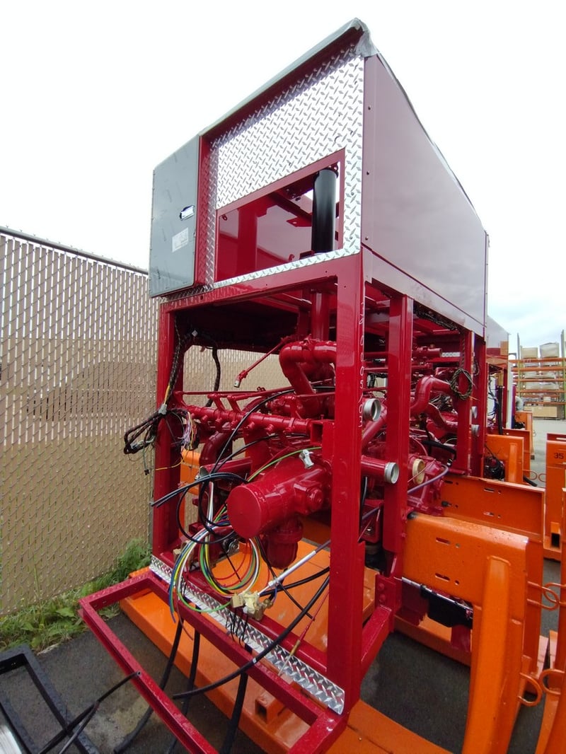 MacQueen A 299 jpg