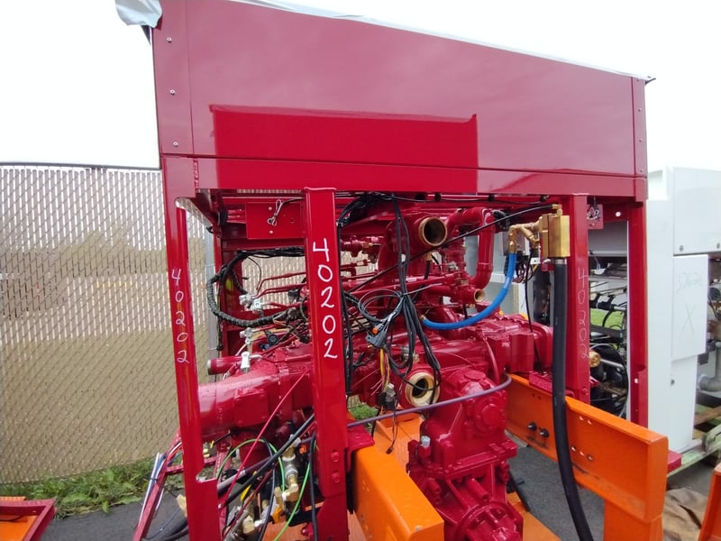 MacQueen A 302 jpg