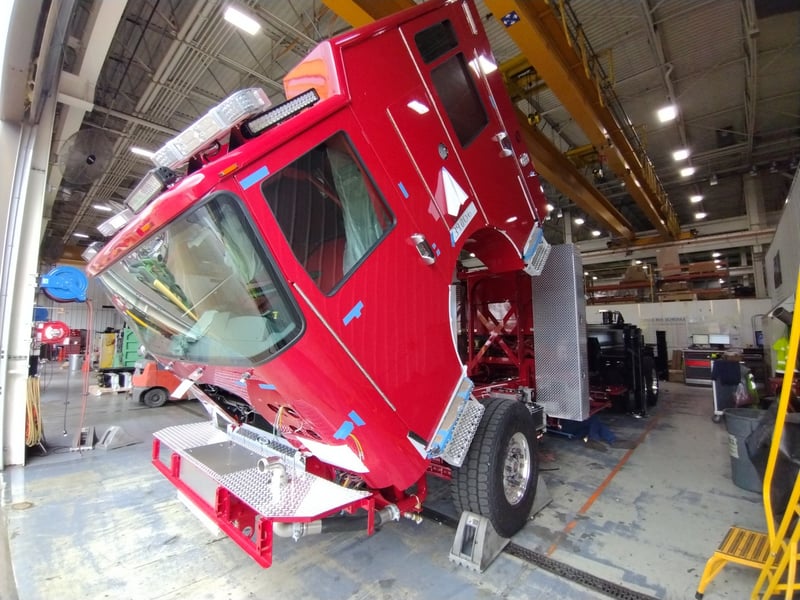 MacQueen A 373 jpg