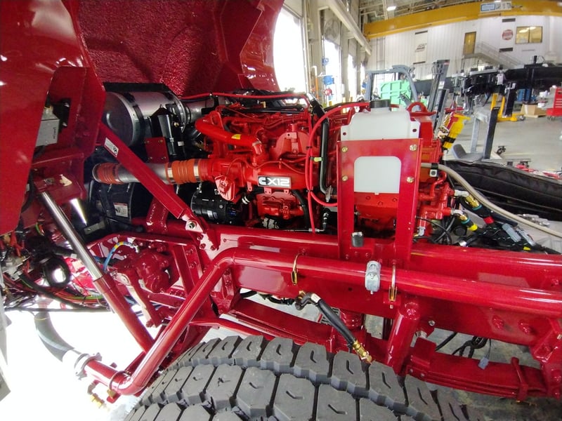 MacQueen A 381 jpg