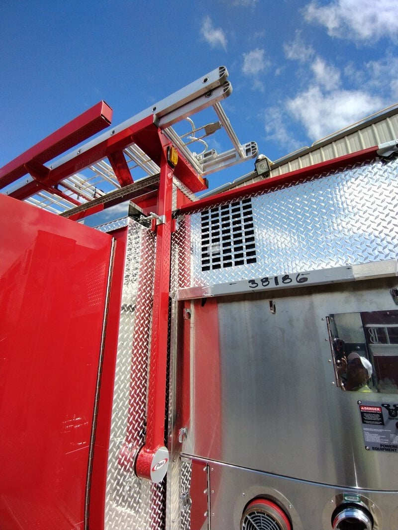 MacQueen A 391 jpg 3