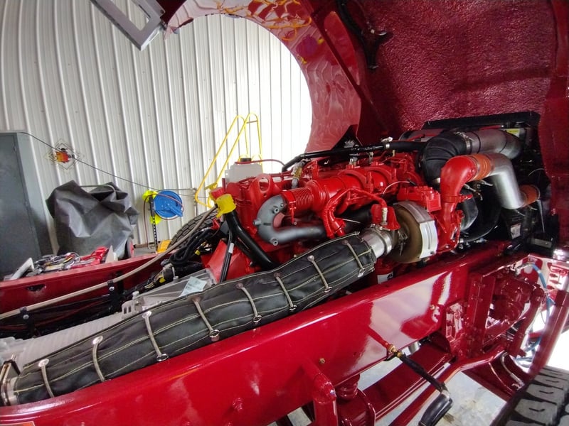 MacQueen A 395 jpg