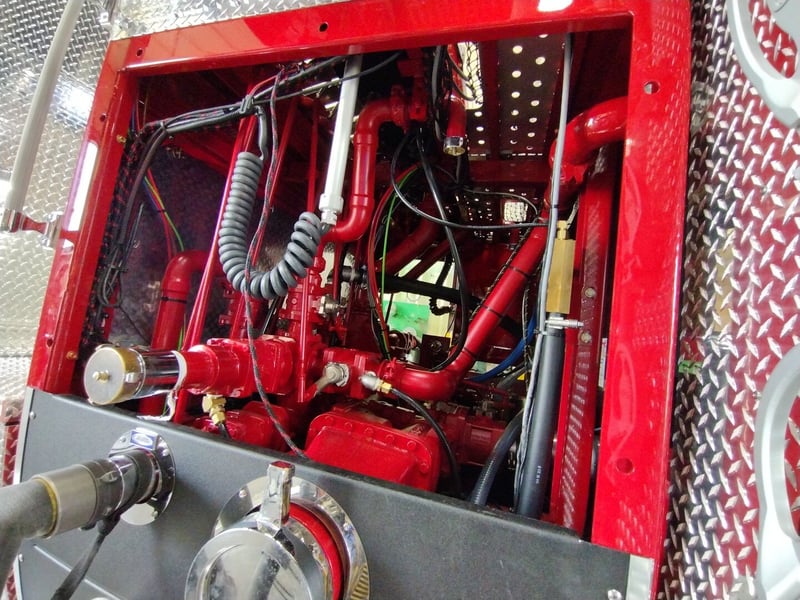 MacQueen A 494 jpg 4