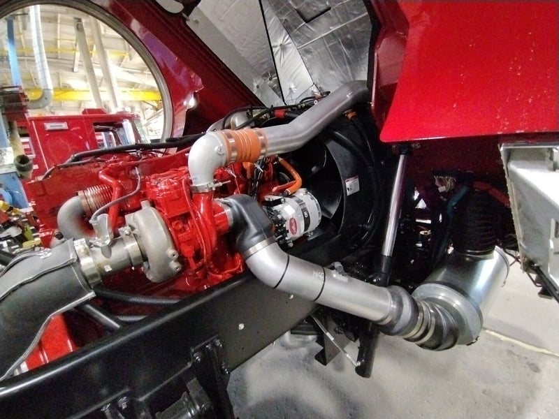 MacQueen A 579 jpg