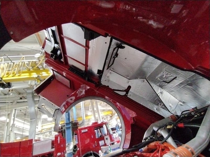MacQueen A 581 jpg