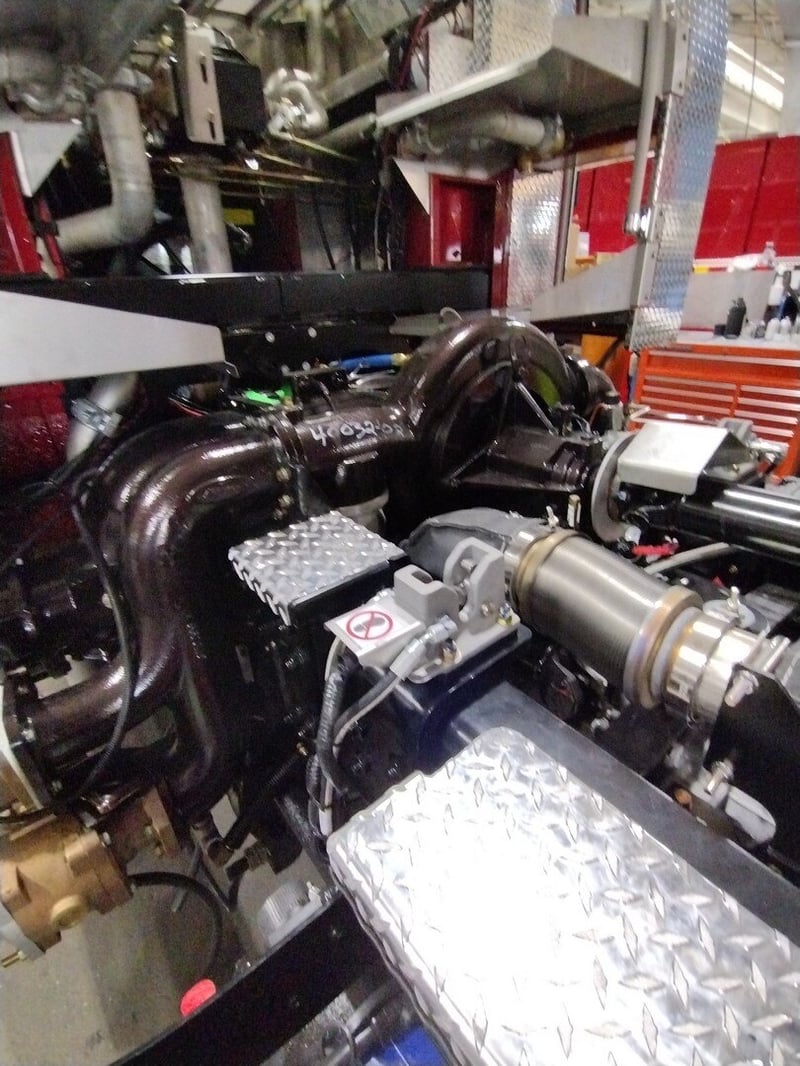 MacQueen A 584 jpg