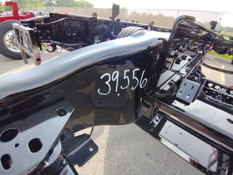 MacQueen A 698 jpg