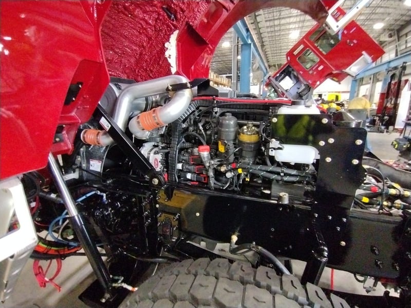 MacQueen B 167 jpg