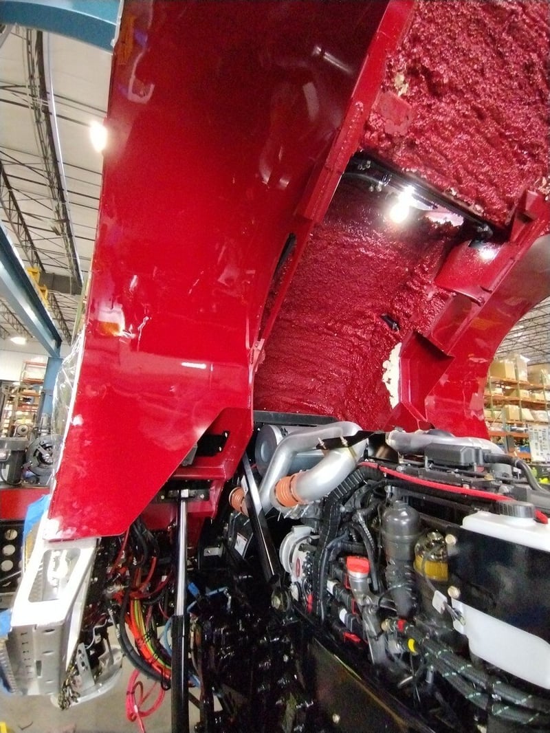 MacQueen B 168 jpg