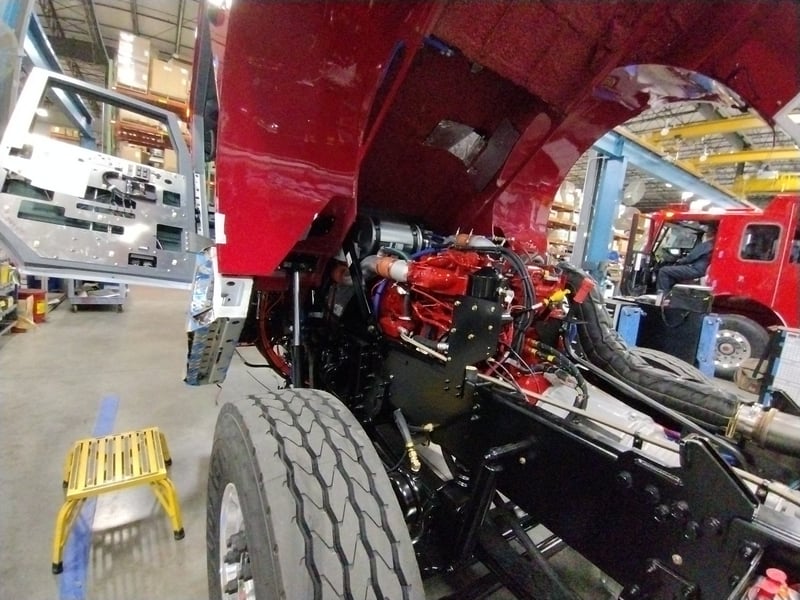 MacQueen B 18 jpg