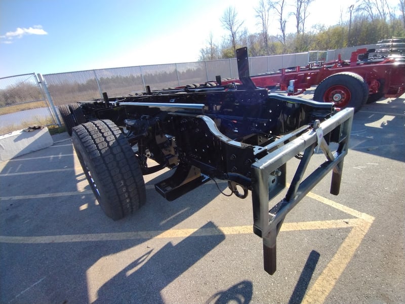MacQueen B 67 jpg 4