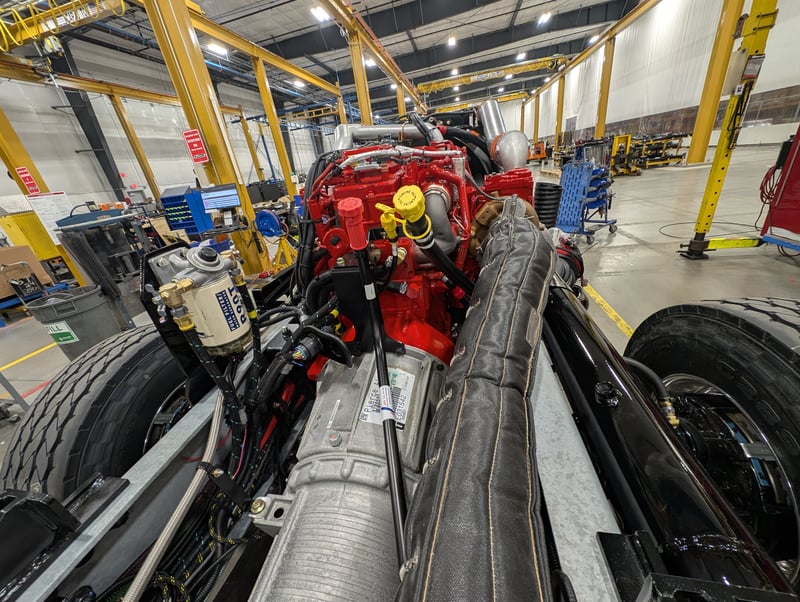 Macqueen 01 (104) jpg