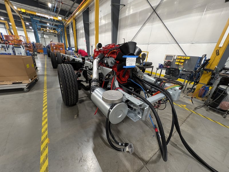 Macqueen 01 (152) jpg