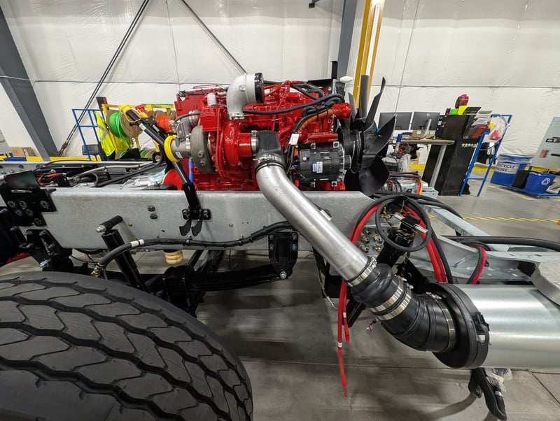 Macqueen 01 (153) jpg