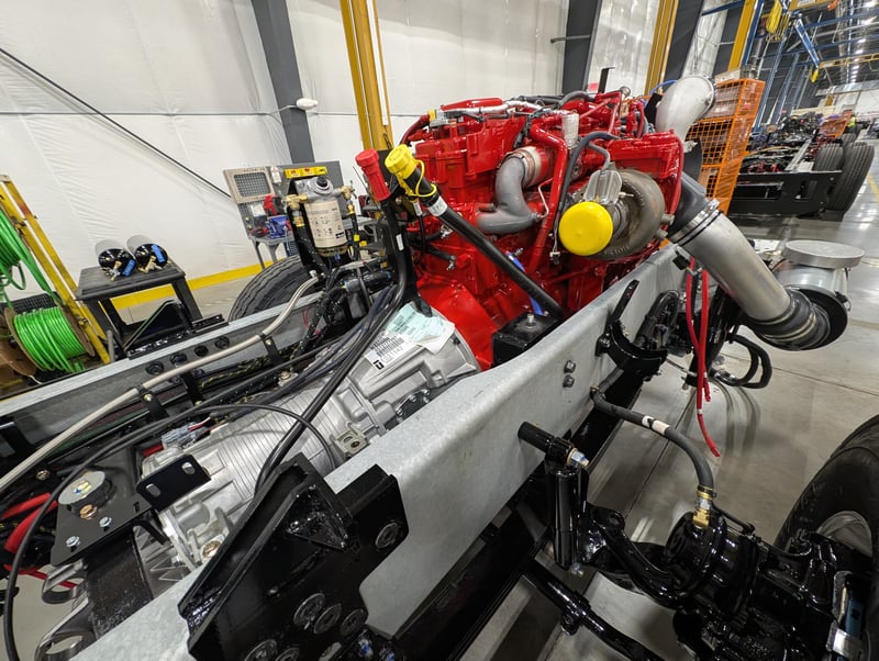 Macqueen 01 (154) jpg