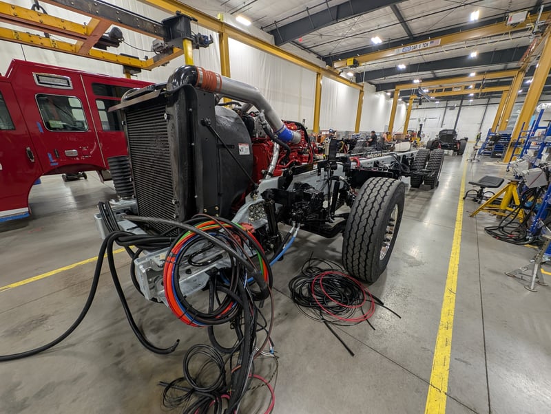 Macqueen 01 (95) jpg