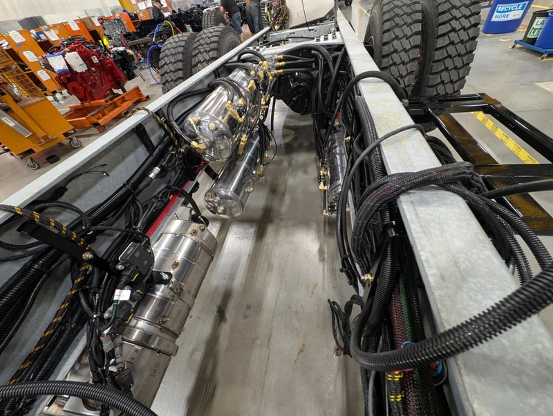 Macqueen 01 (98) jpg