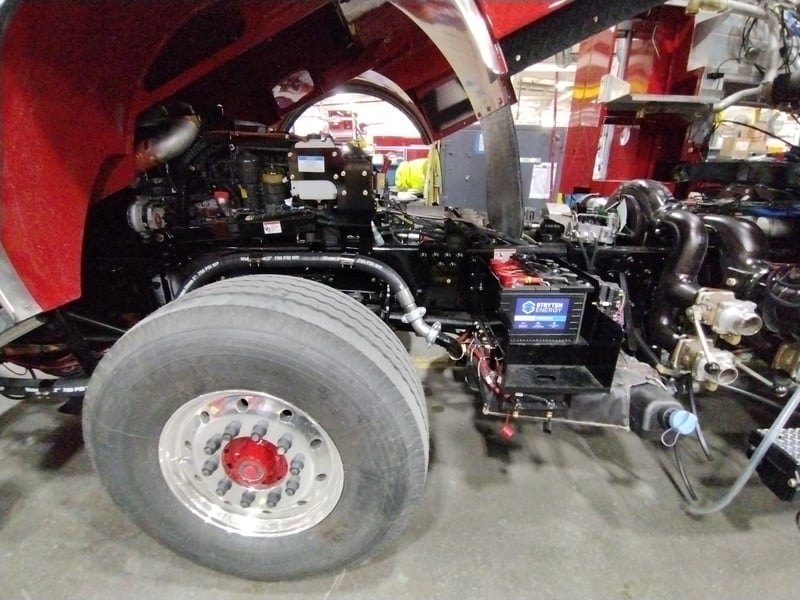 Macqueen 02 (152) jpg