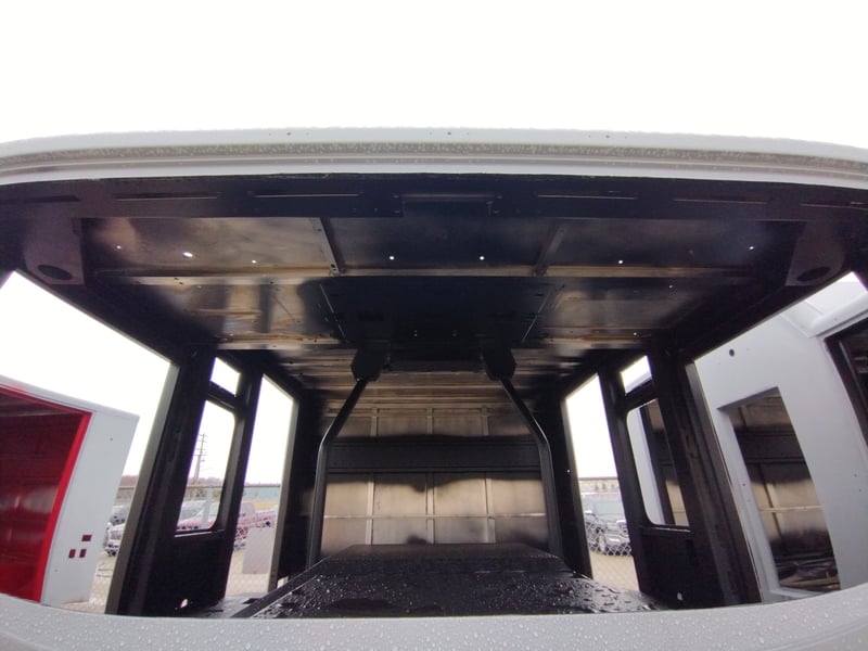 Macqueen 02 (479) jpg