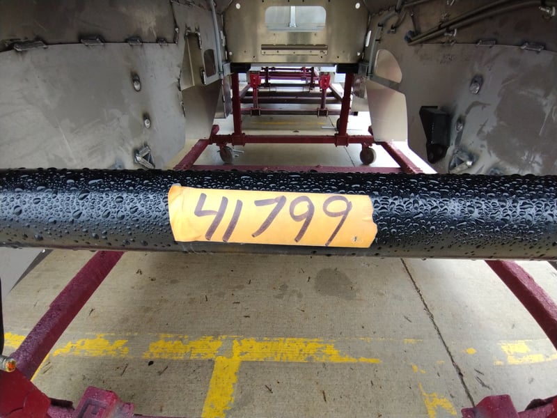 Macqueen 02 (510) jpg