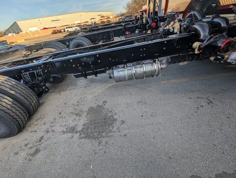 PXL 20251121 195523456 jpg