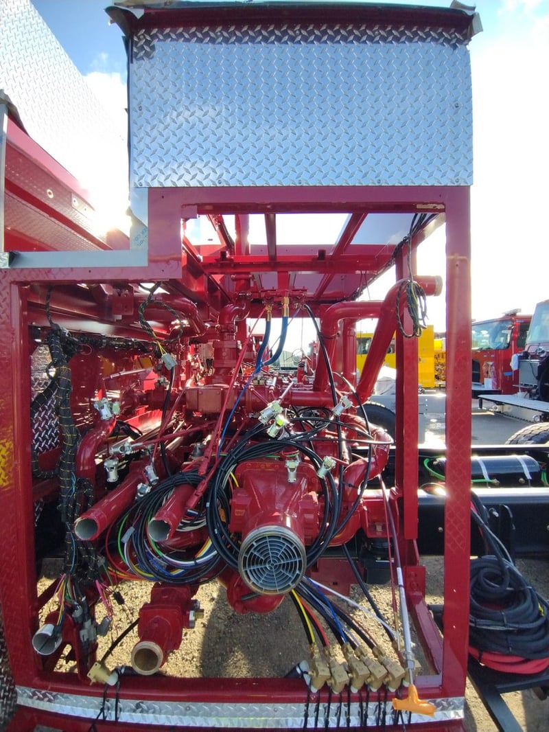 MacQueen A 112 jpg