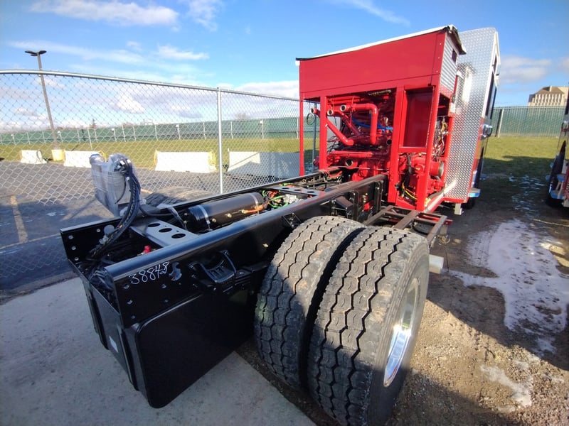 MacQueen A 117 jpg