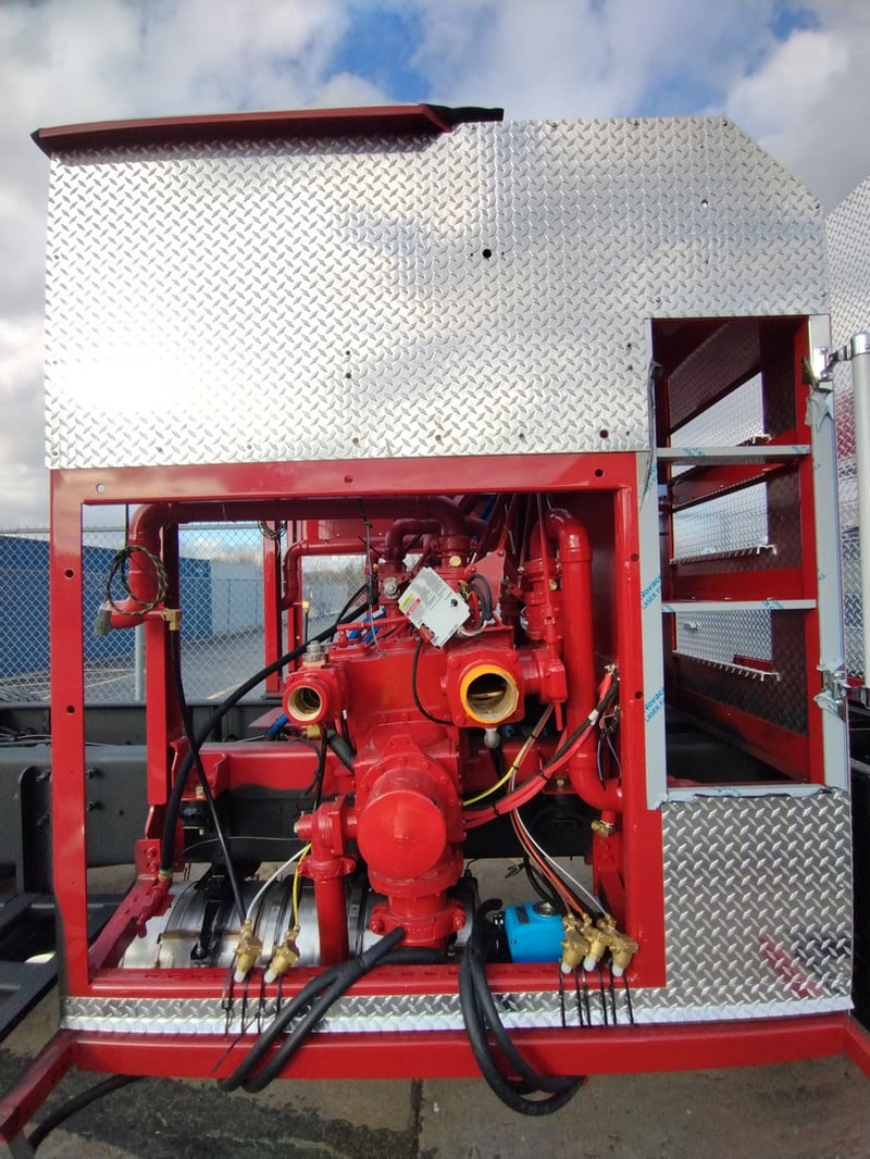 MacQueen A 148 jpg