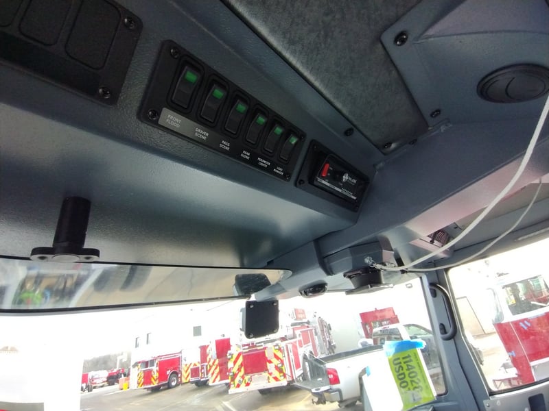 MacQueen A 169 jpg